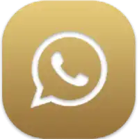 whatsapp istanacasino